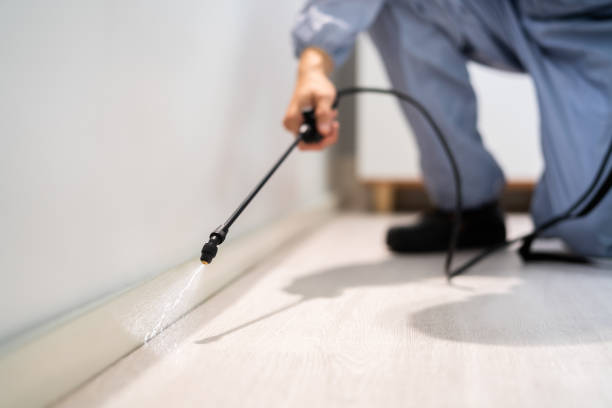 Professional exterminator conducting IPM assessment in Florence
