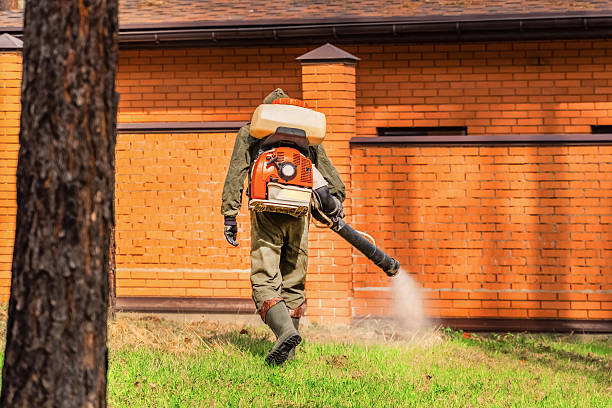 Top rated local Mosquito Control specialists in Florence, TX
